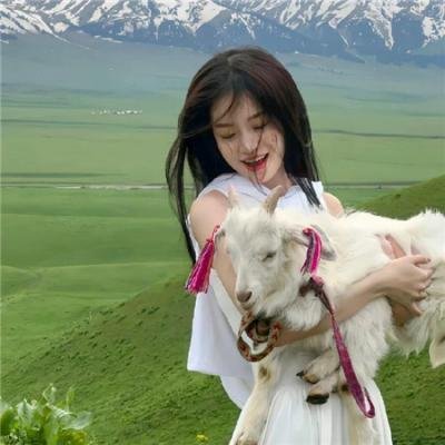 铁核桃之无间风云